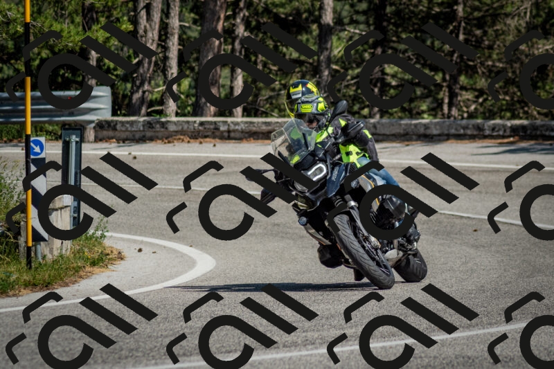 202506141535-DSC_9069_c2