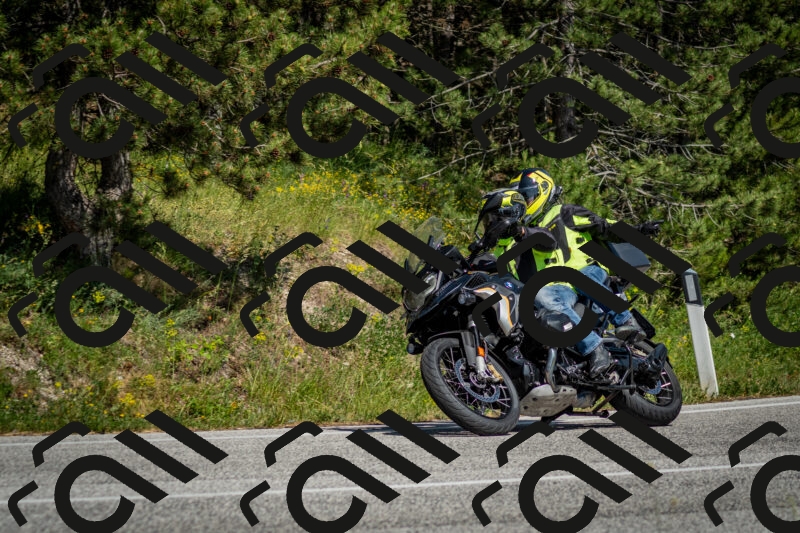 202506141535-DSC_9070_c2