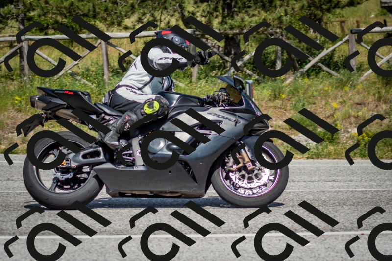 202506141536-DSC_9075_c2