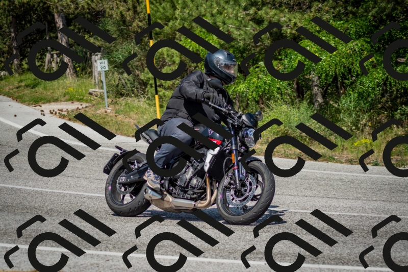 202506141536-DSC_9077_c2