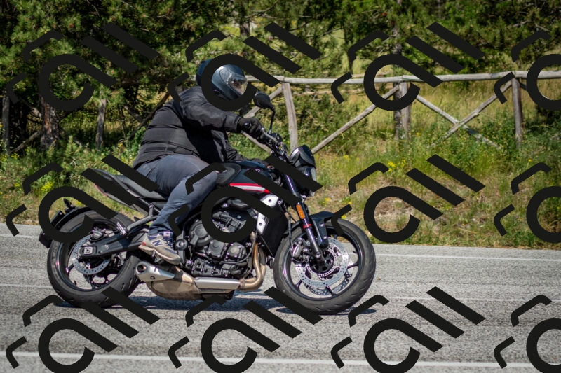 202506141536-DSC_9078_c2