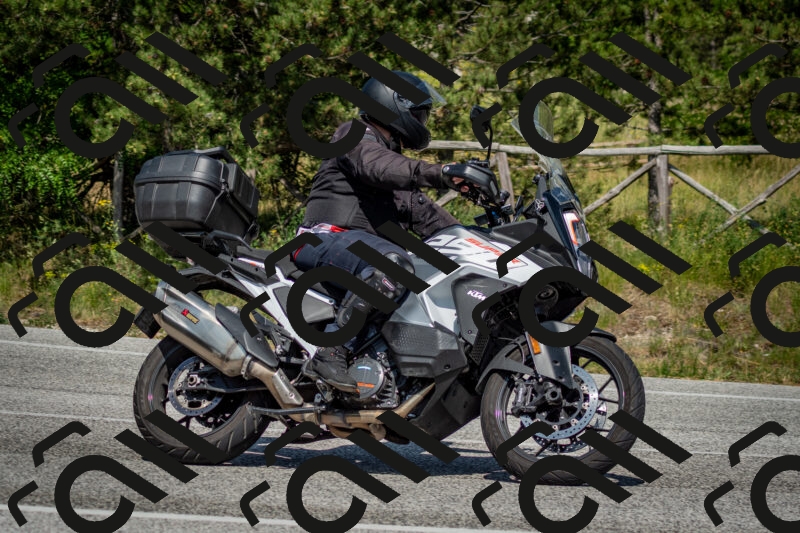 202506141537-DSC_9084_c2