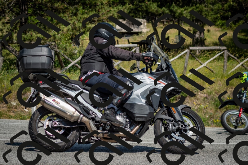 202506141537-DSC_9085_c2