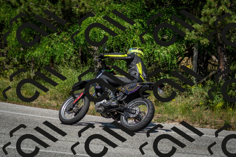 202506141537-DSC_9086_c2