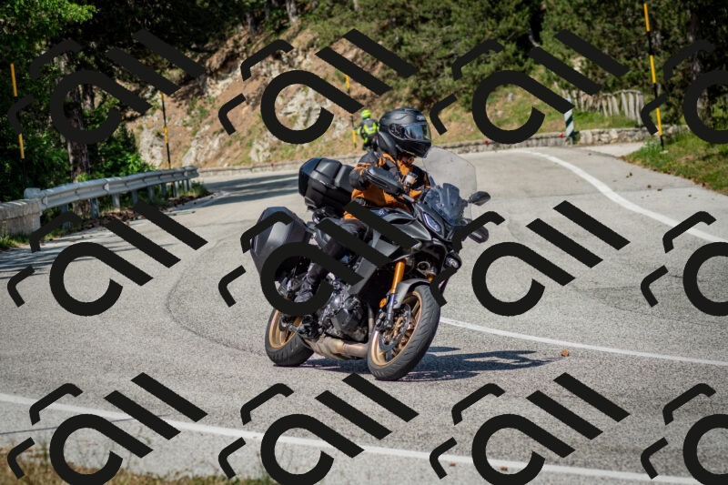 202506141537-DSC_9087_c2