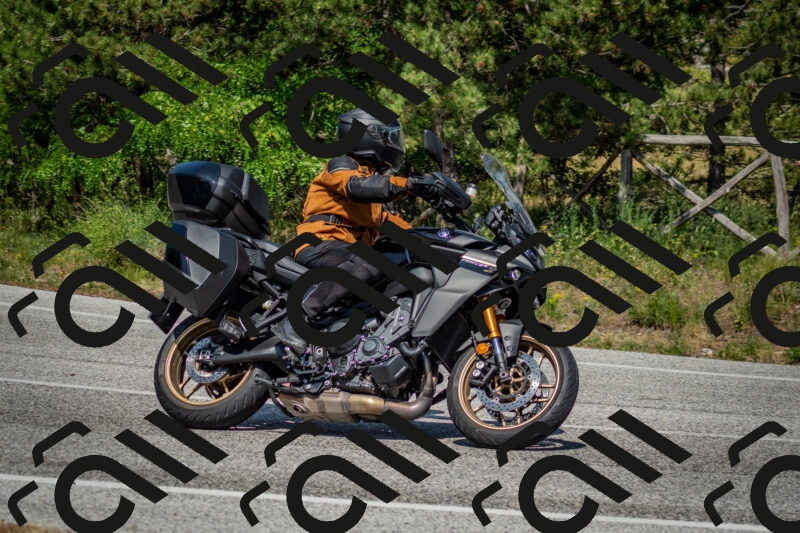 202506141537-DSC_9088_c2