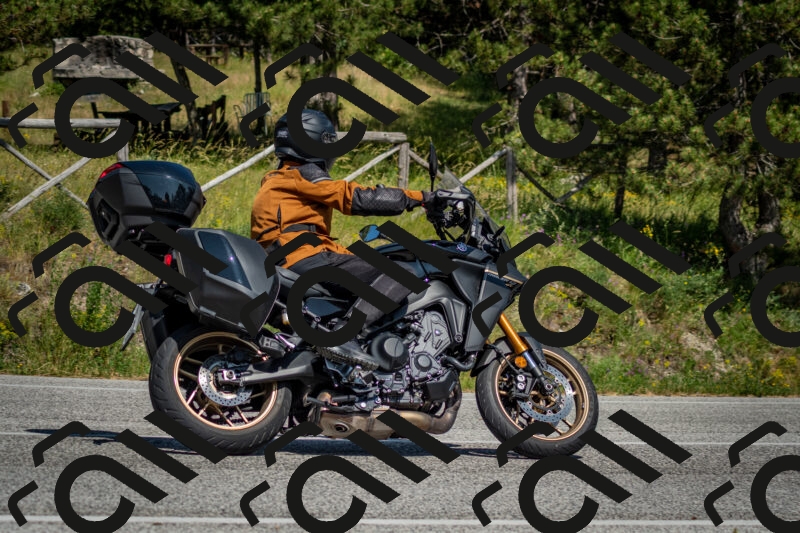 202506141537-DSC_9089_c2