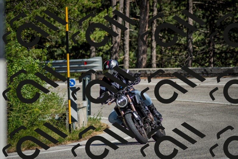 202506141537-DSC_9093_c2