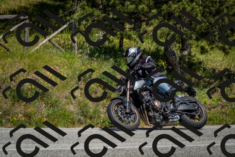 202506141537-DSC_9094_c2