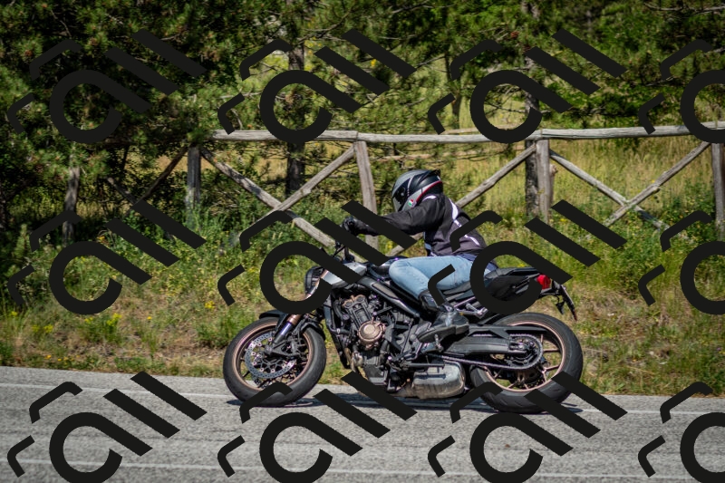 202506141537-DSC_9095_c2