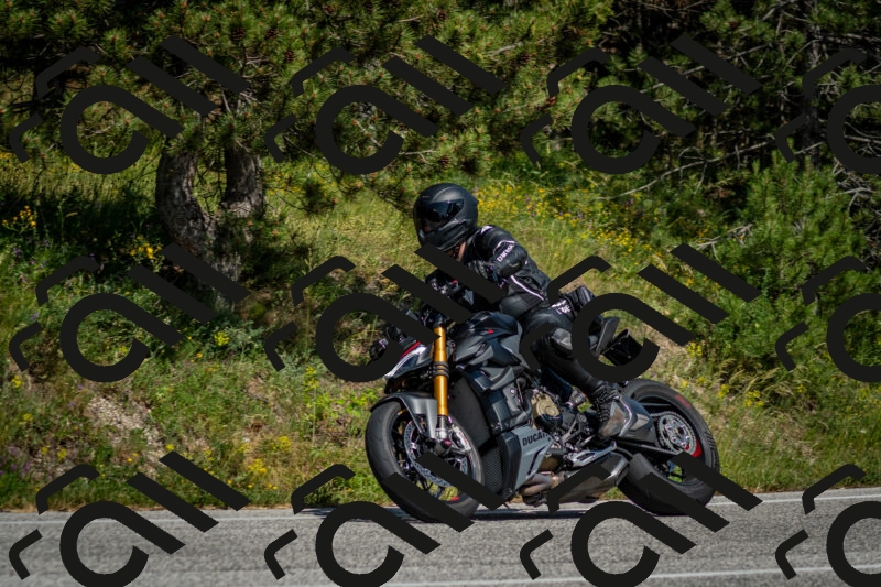 202506141537-DSC_9097_c2