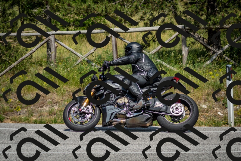 202506141537-DSC_9098_c2