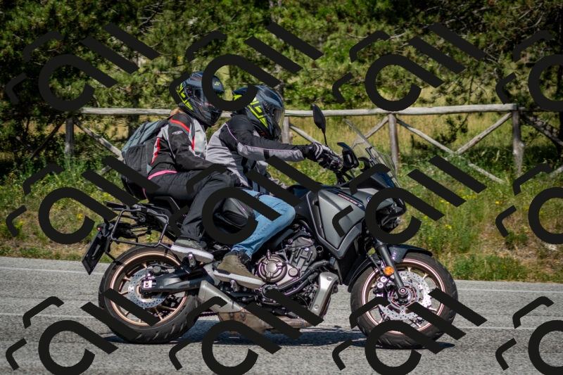 202506141538-DSC_9100_c2