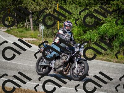 202506141544-DSC_9104_c2