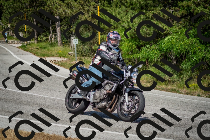 202506141544-DSC_9104_c2