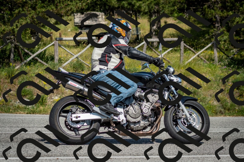 202506141544-DSC_9105_c2