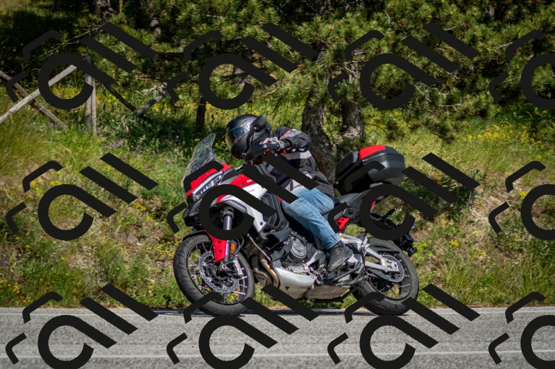 202506141545-DSC_9106_c2