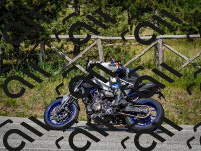 202506141545-DSC_9111_c2