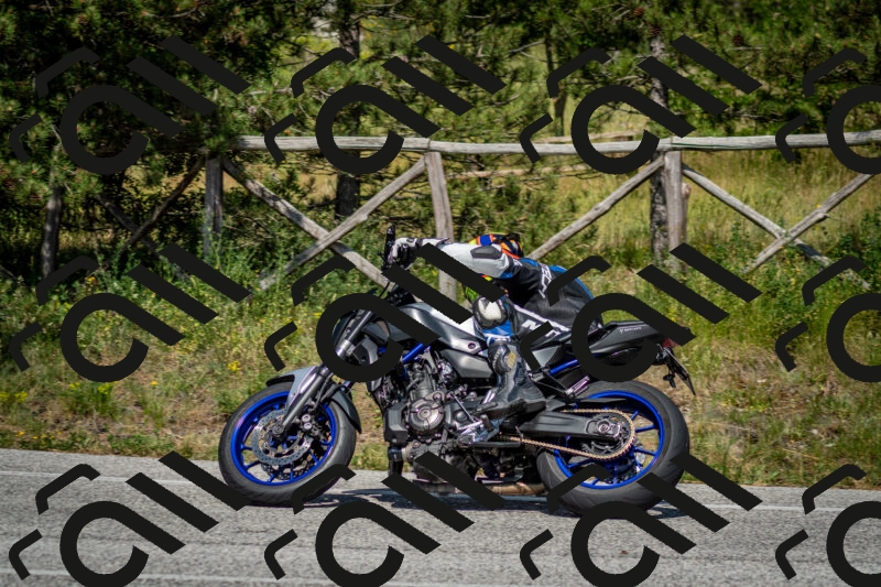 202506141545-DSC_9111_c2