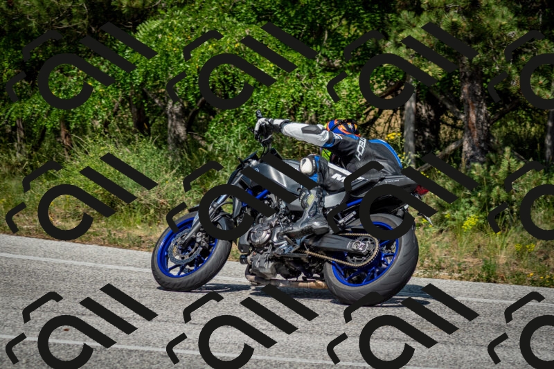 202506141545-DSC_9112_c2