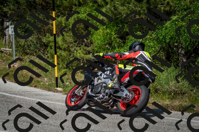 202506141545-DSC_9115_c2