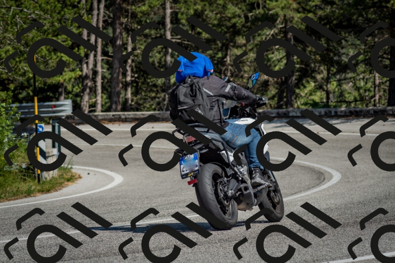 202506141550-DSC_9119_c2