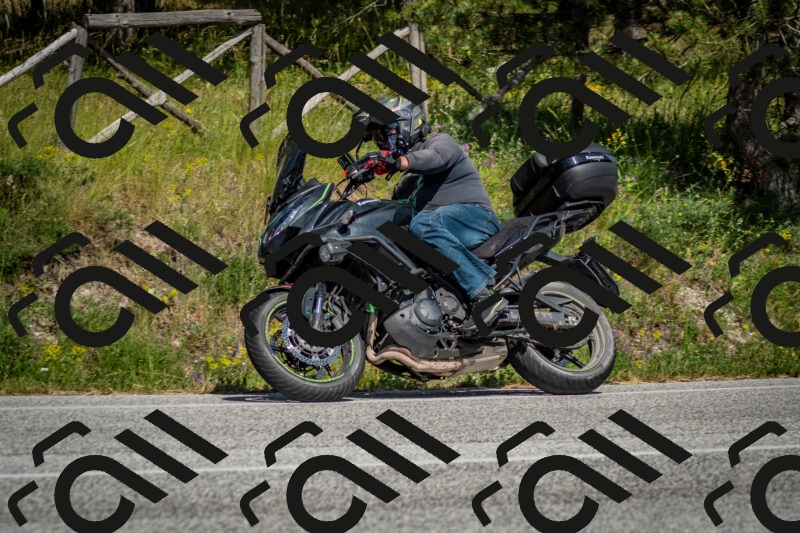 202506141552-DSC_9125_c2