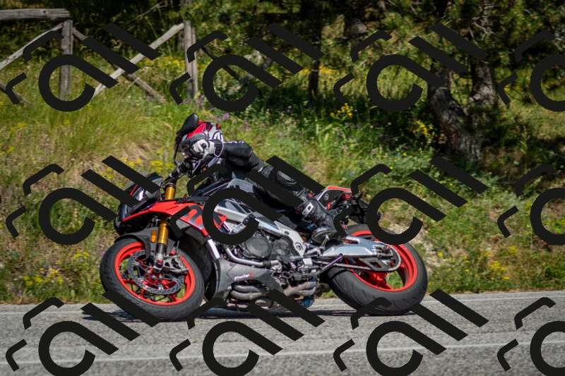 202506141552-DSC_9130_c2