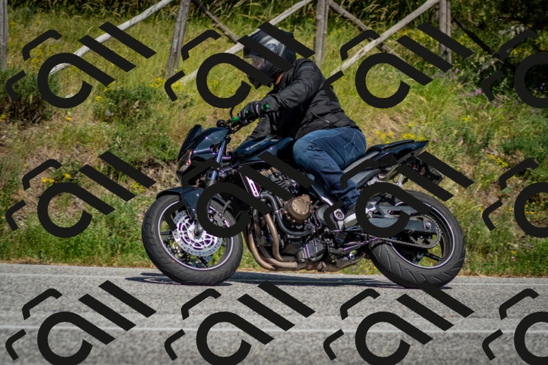 202506141554-DSC_9137_c2