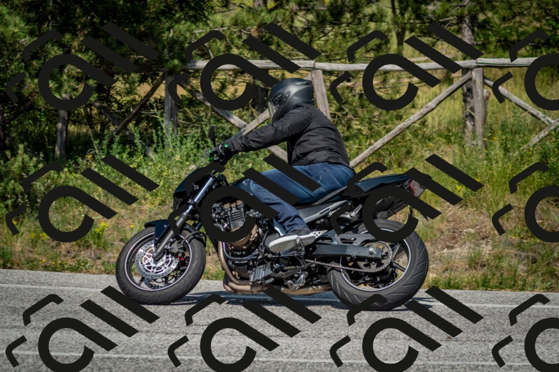 202506141554-DSC_9138_c2