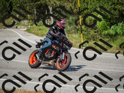 202506141600-DSC_9151_c2