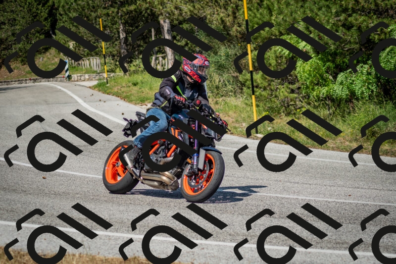 202506141600-DSC_9151_c2