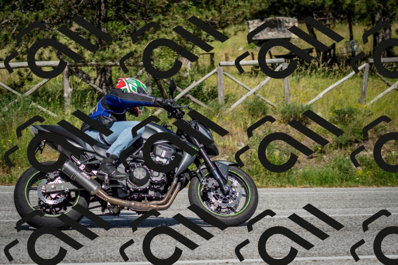 202506141600-DSC_9159_c2