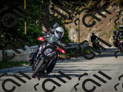 202506141600-DSC_9161_c2