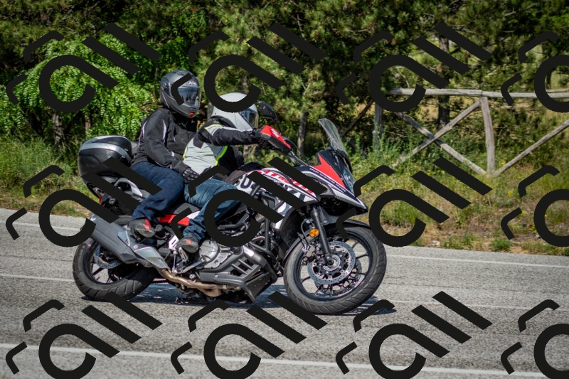 202506141600-DSC_9163_c2