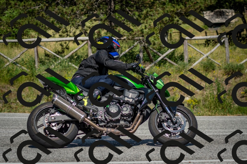 202506141600-DSC_9170_c2