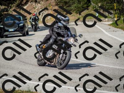 202506141602-DSC_9177_c2