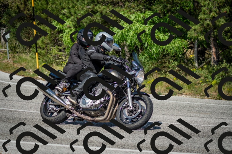 202506141602-DSC_9178_c2