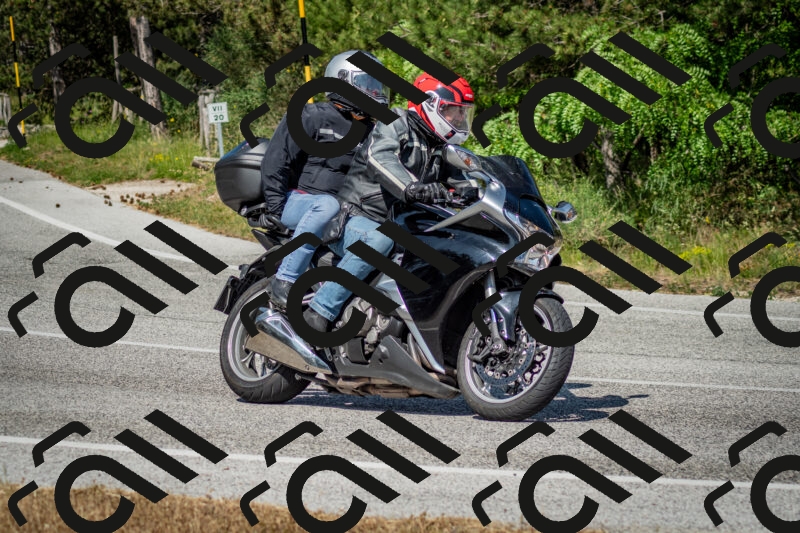 202506141602-DSC_9181_c2