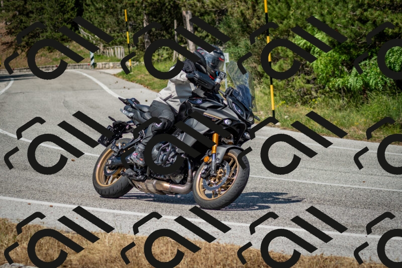 202506141602-DSC_9183_c2