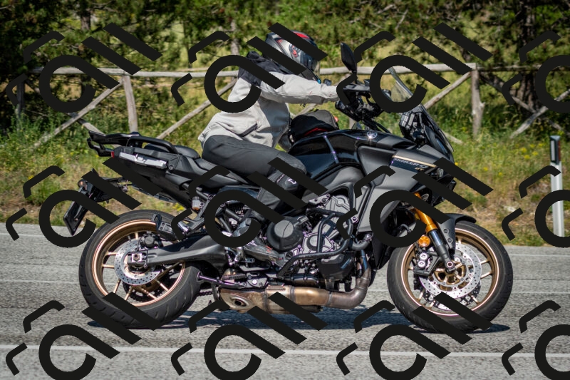 202506141602-DSC_9184_c2