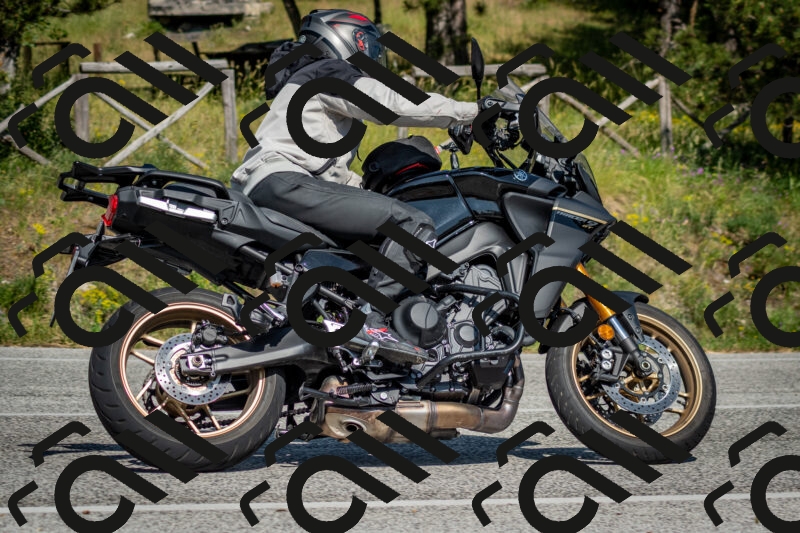 202506141602-DSC_9185_c2