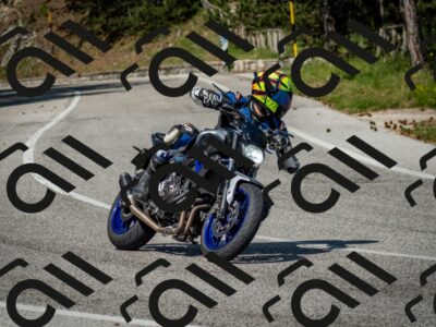 202506141604-DSC_9187_c2