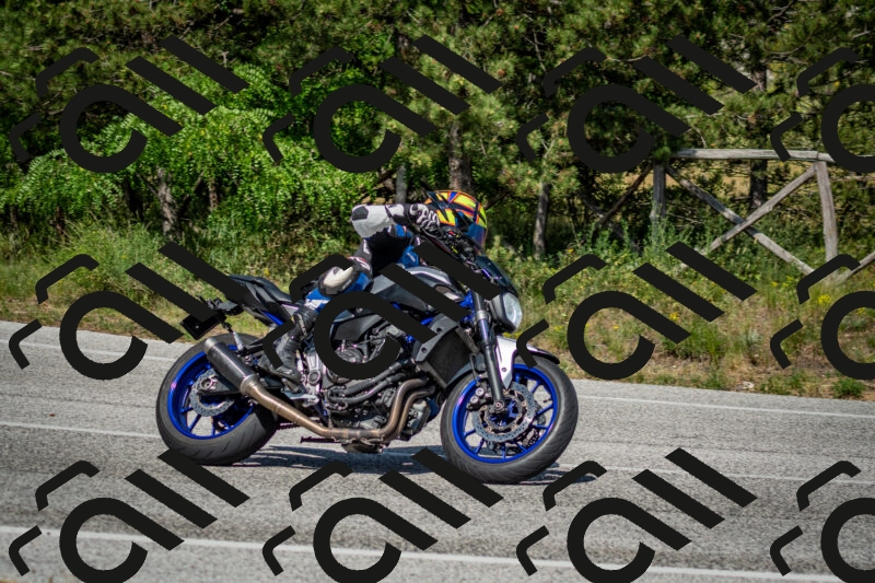 202506141604-DSC_9188_c2