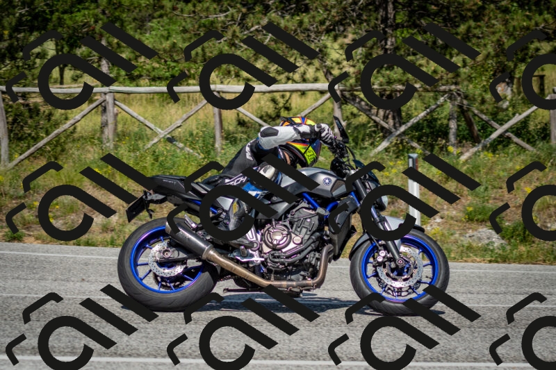 202506141604-DSC_9189_c2