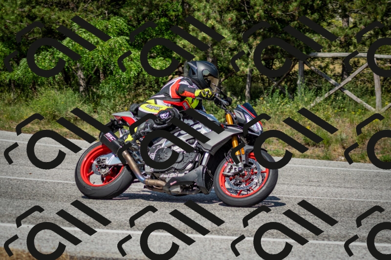 202506141604-DSC_9191_c2