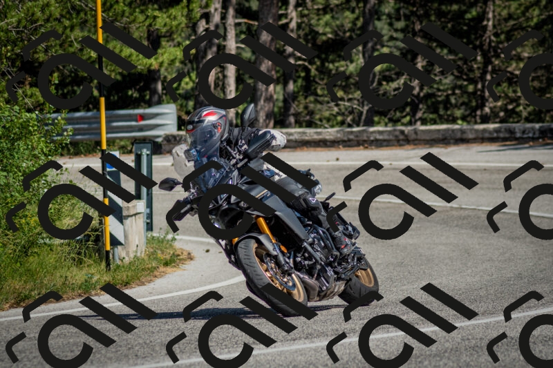 202506141604-DSC_9195_c2