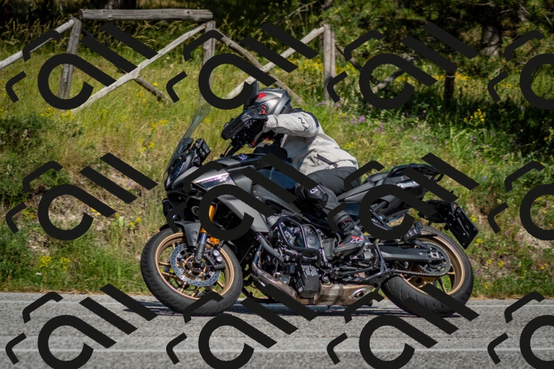 202506141604-DSC_9196_c2