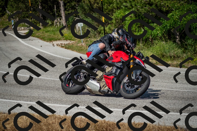 202506141609-DSC_9205_c2