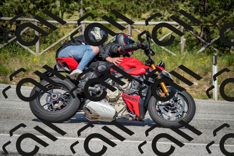 202506141609-DSC_9206_c2